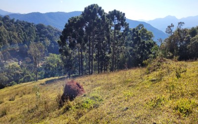 TERRENO - CAMPO REDONDO (MATO JOÁ)